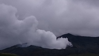 DSC_5391.jpg