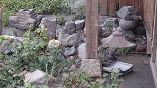 DSC_5409.jpg