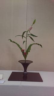 DSC_5508.jpg