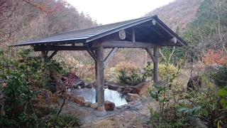 DSC_5862.jpg