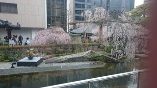 DSC_6694.jpg