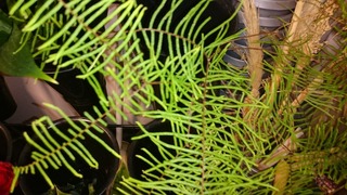 DSC_6879.jpg