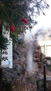 DSC_6916.jpg