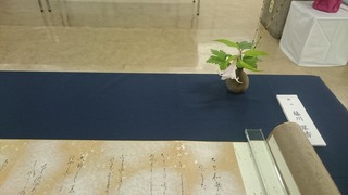 DSC_7012.jpg