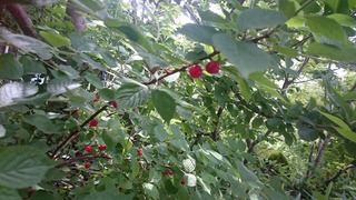 DSC_7041.jpg