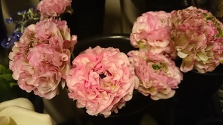 DSC_7053.jpg