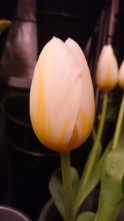DSC_7113.jpg
