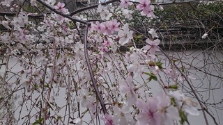 DSC_7143.jpg