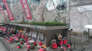 DSC_7144.jpg