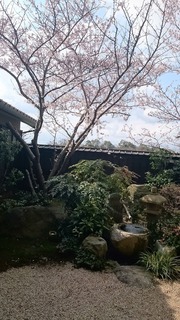 DSC_7178.jpg
