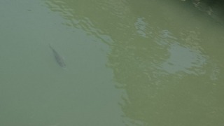 DSC_7185.jpg