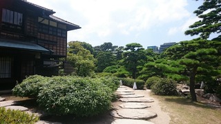 DSC_7188.jpg