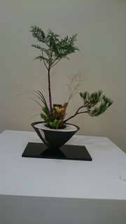DSC_7602.jpg