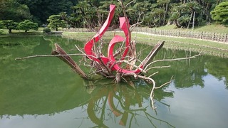 DSC_7606.jpg