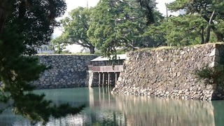 DSC_7689.jpg