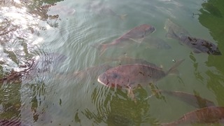 DSC_7704.jpg