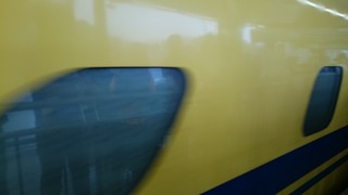 DSC_7753.jpg