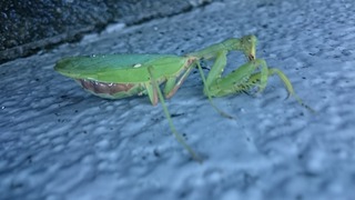 DSC_7833.jpg