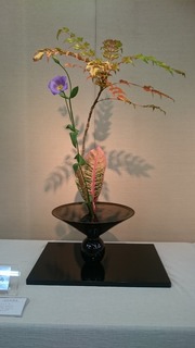 DSC_8085.jpg