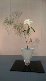DSC_8087.jpg