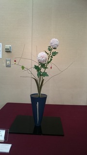 DSC_8099.jpg