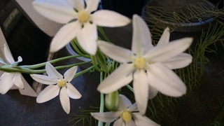 DSC_8100.jpg