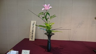 DSC_8104.jpg