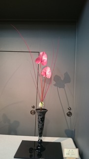 DSC_8106.jpg