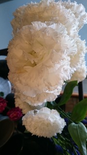 DSC_8108.jpg