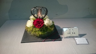 DSC_8108.jpg