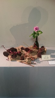 DSC_8109.jpg