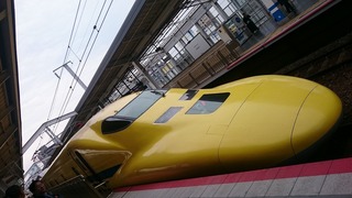 DSC_8146.jpg