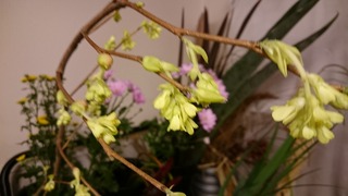 DSC_8535.jpg