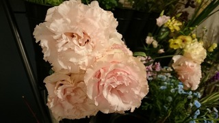 DSC_8547.jpg