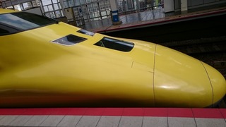 DSC_8564.jpg