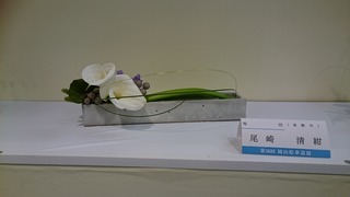 DSC_8573.jpg