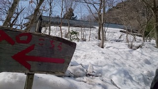 DSC_8621.jpg