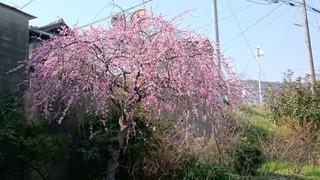 DSC_8676.jpg