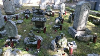 DSC_8693.jpg