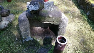 DSC_8695.jpg