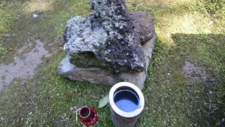 DSC_8696.jpg