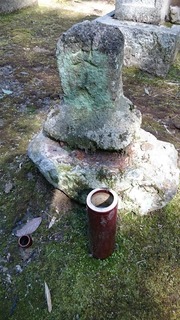 DSC_8698.jpg