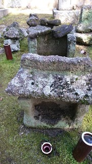 DSC_8699.jpg