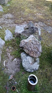 DSC_8701.jpg
