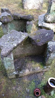 DSC_8703.jpg