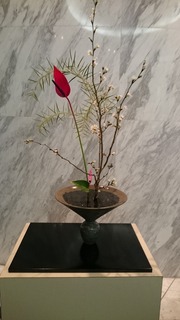 DSC_8708.jpg
