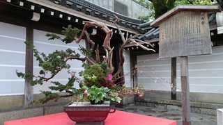 DSC_8821.jpg