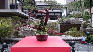 DSC_8824.jpg