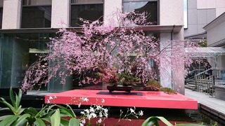 DSC_8830.jpg