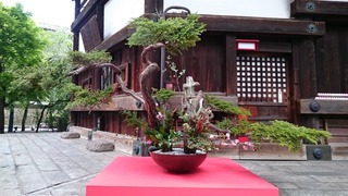 DSC_8831.jpg